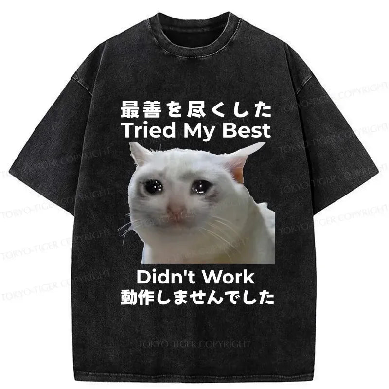 Kyoto Lion funny washed t-shirt