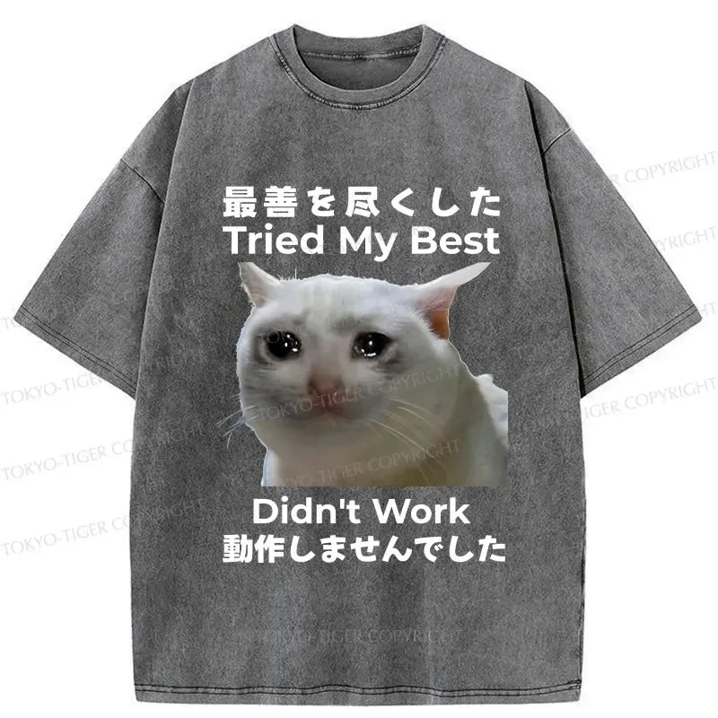 Kyoto Lion funny washed t-shirt