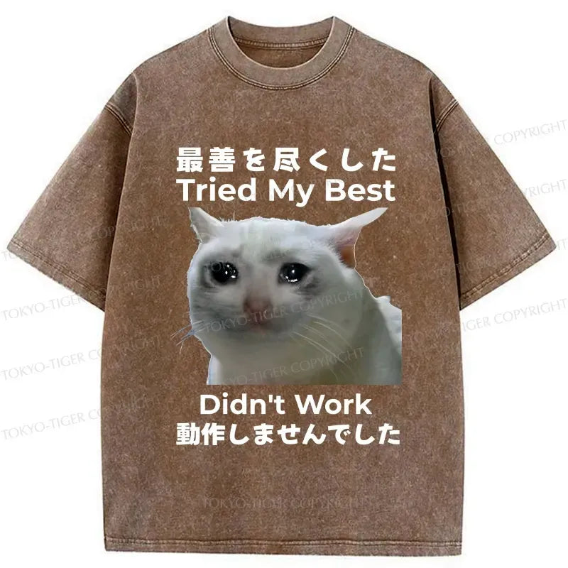 Kyoto Lion funny washed t-shirt