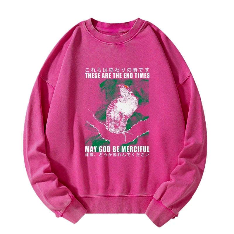Japanese washed sweatshirt with bird