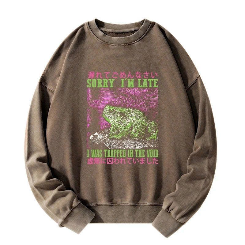 Kyoto-Lion A Frog In Distress Japanese Washed Sweatshirt