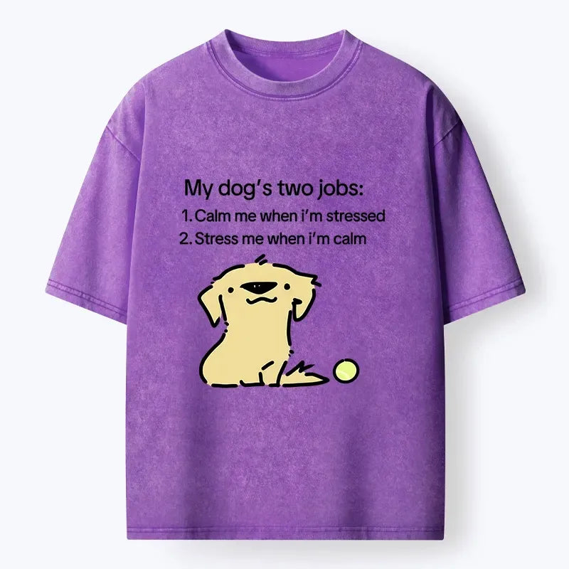 Japanese vintage meme t-shirt for daily wear
