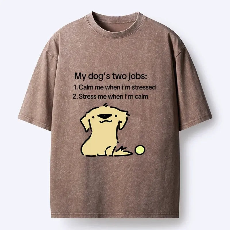 Japanese vintage meme t-shirt for daily wear