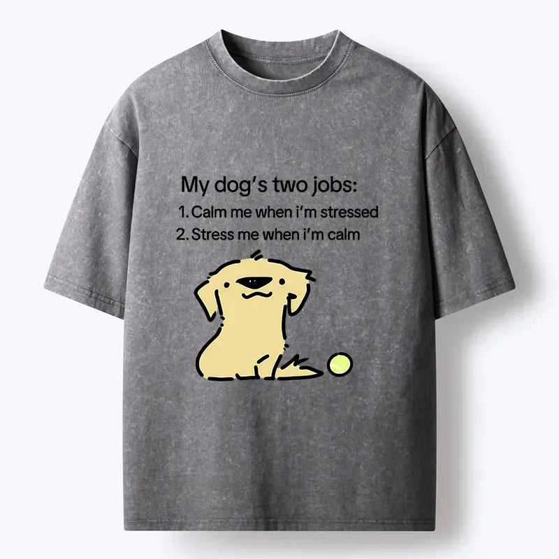 Japanese vintage meme t-shirt for daily wear
