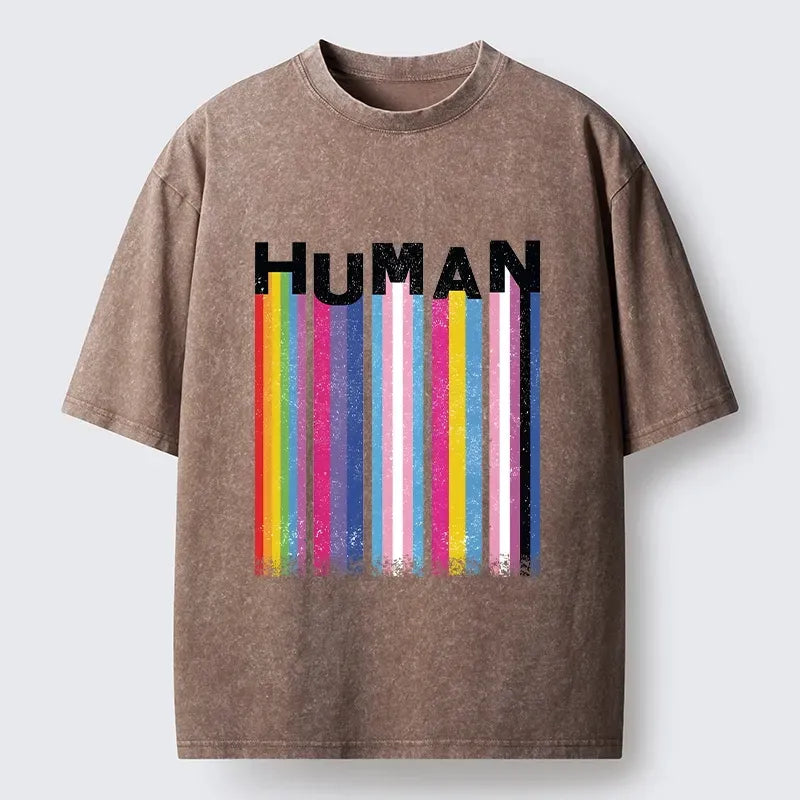 Kyoto-Lion Rainbow Stripes Human Pride Washed T-Shirt