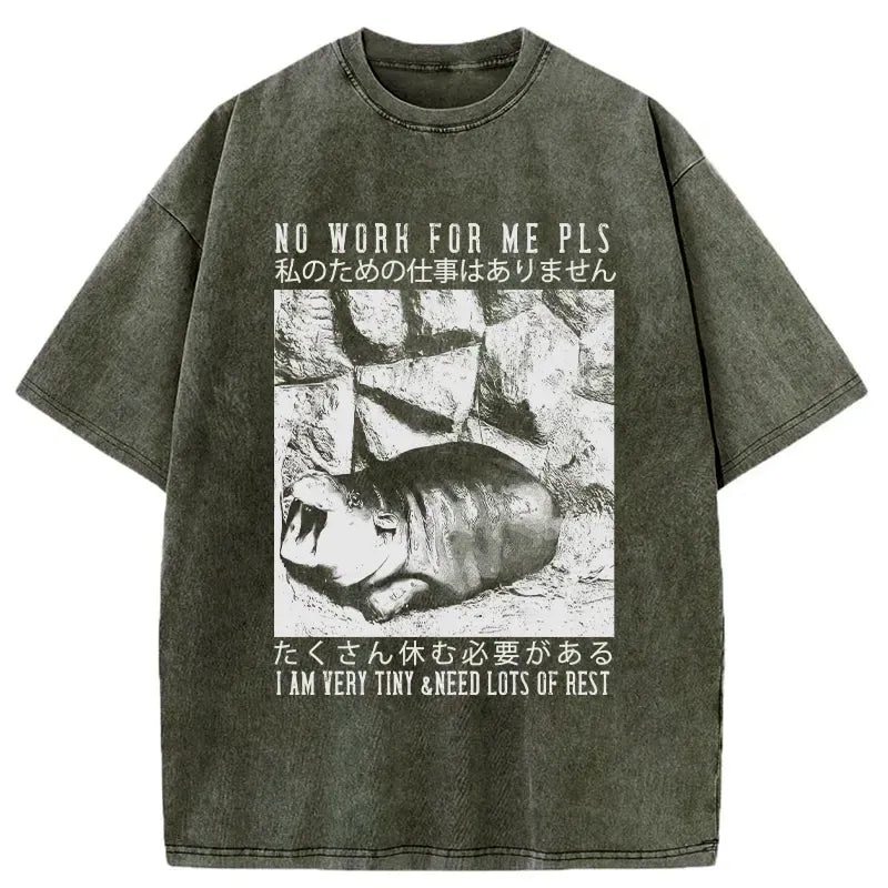 Kyoto-Lion Funny Moo Deng Needs Lots Of Rest Washed T-Shirt