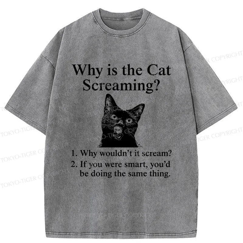 Kyoto-Lion Reasons Why Cat Scream Washed T-Shirt