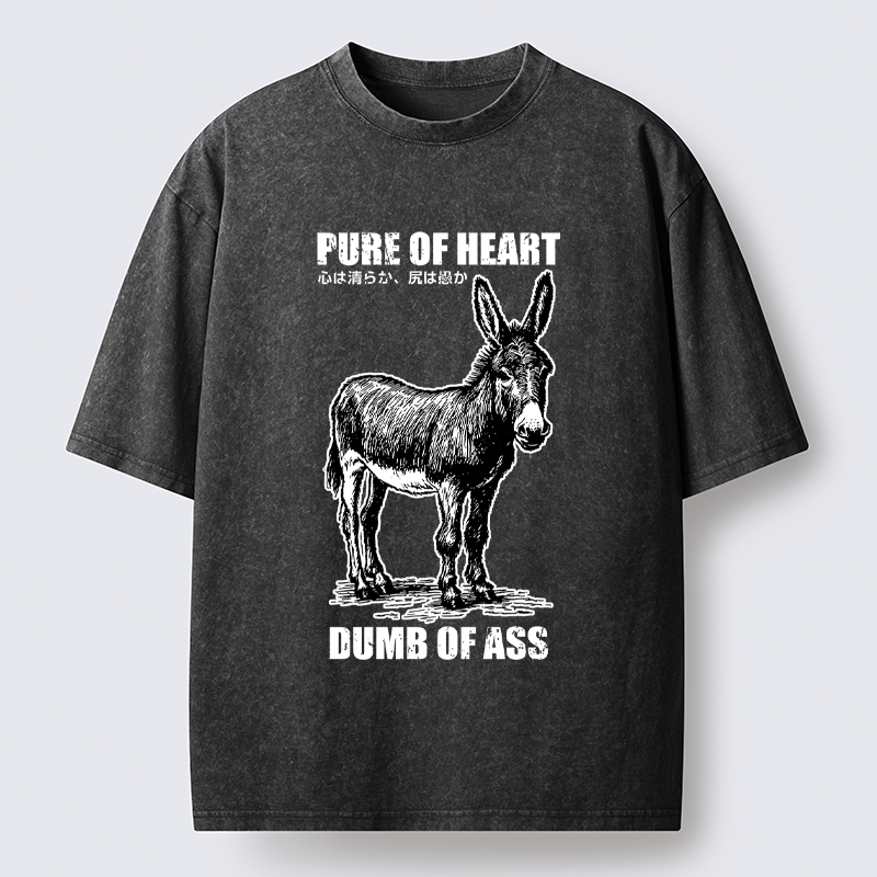 Kyoto-Lion Good Heart, Empty Head Washed T-Shirt