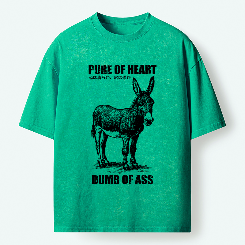 Kyoto-Lion Good Heart, Empty Head Washed T-Shirt