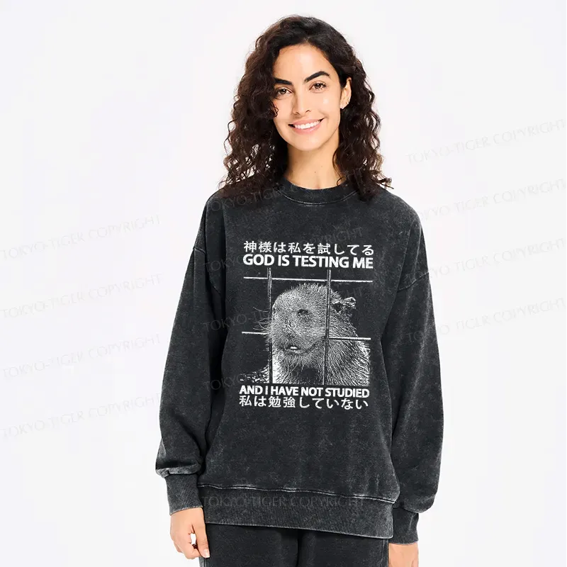 Vintage Kyoto Lion Sweatshirt Gift for Him