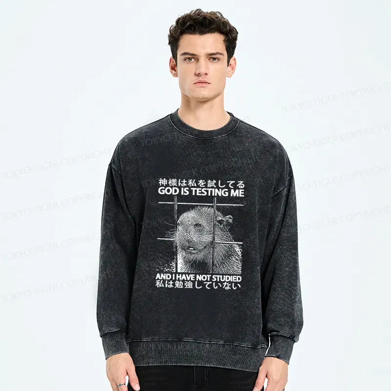 Vintage Kyoto Lion Sweatshirt Gift for Him