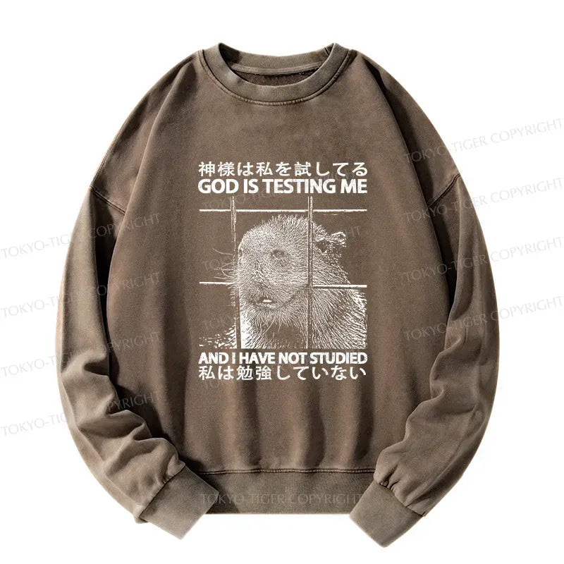 Kyoto-Lion God Is Testing Me Washed Sweatshirt