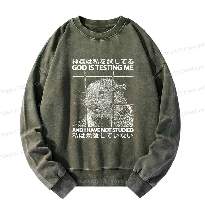 Japanese Lion God Washed Sweatshirt for Daily Wear