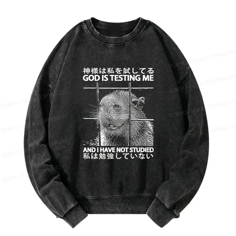 Japanese Lion God Washed Sweatshirt for Daily Wear