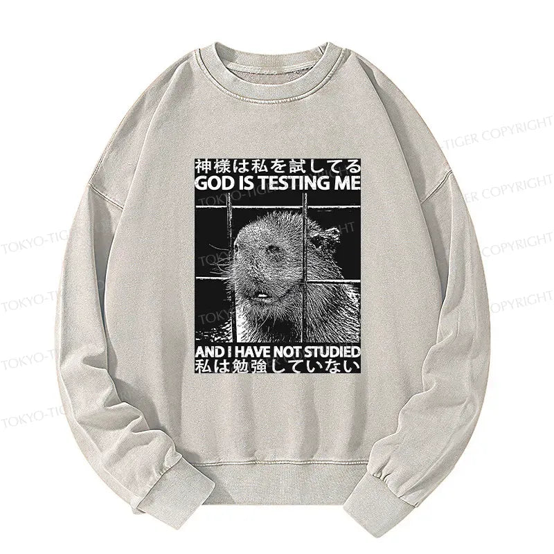 Vintage Kyoto Lion Sweatshirt Gift for Him