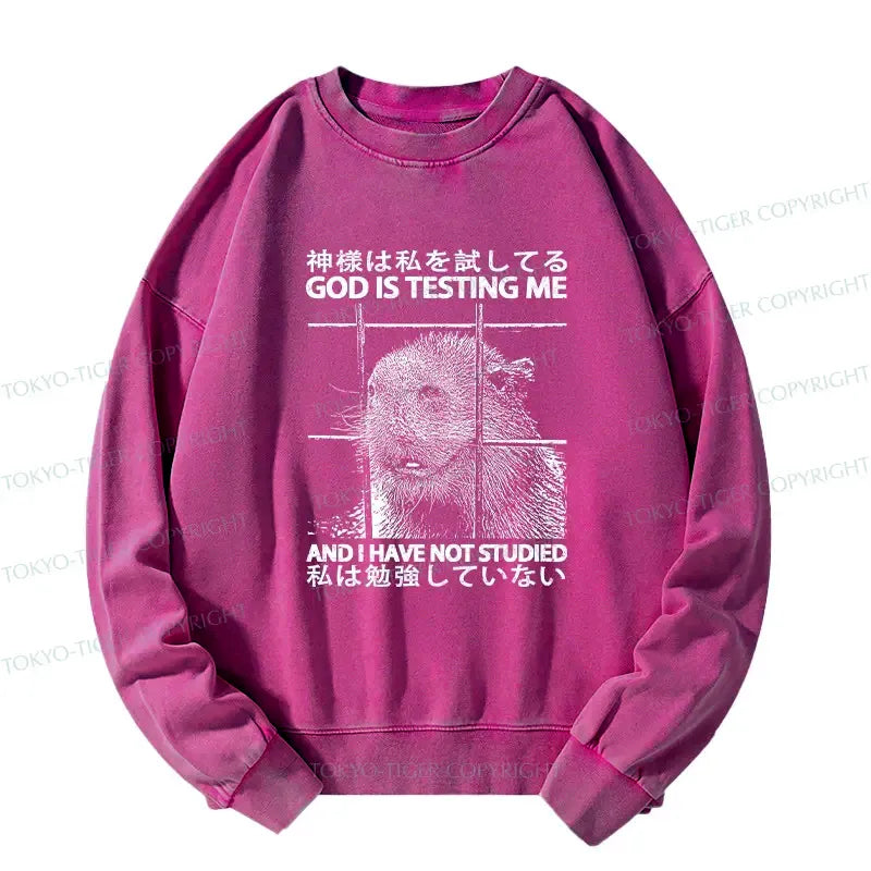 Relaxed Fit Japanese Sweatshirt for Streetwear