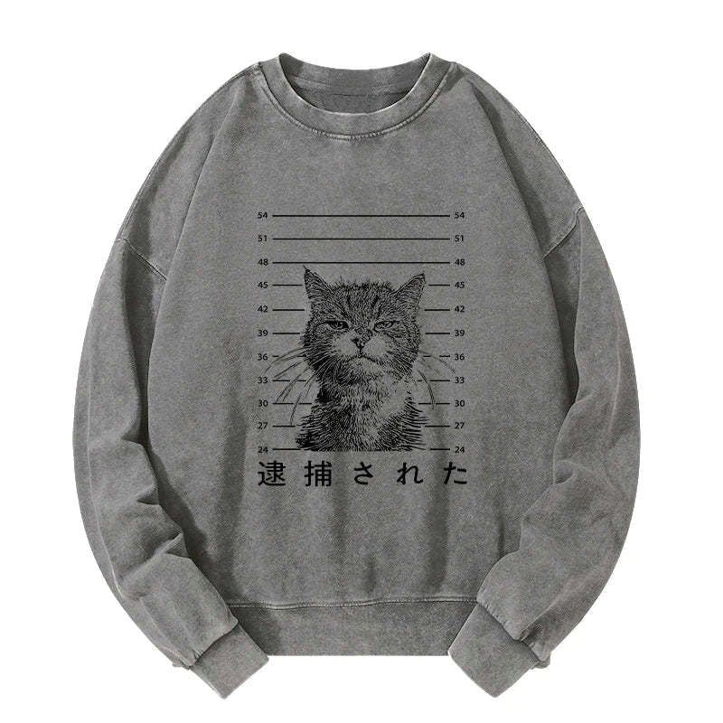 kyoto lion cat sweatshirt for streetwear