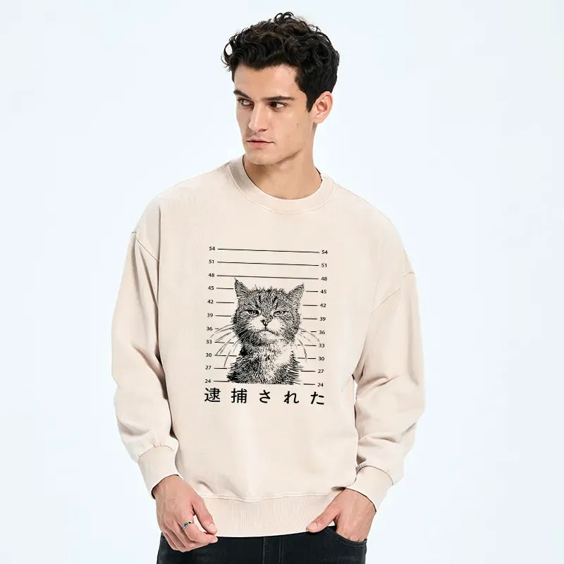kyoto lion cat sweatshirt for streetwear