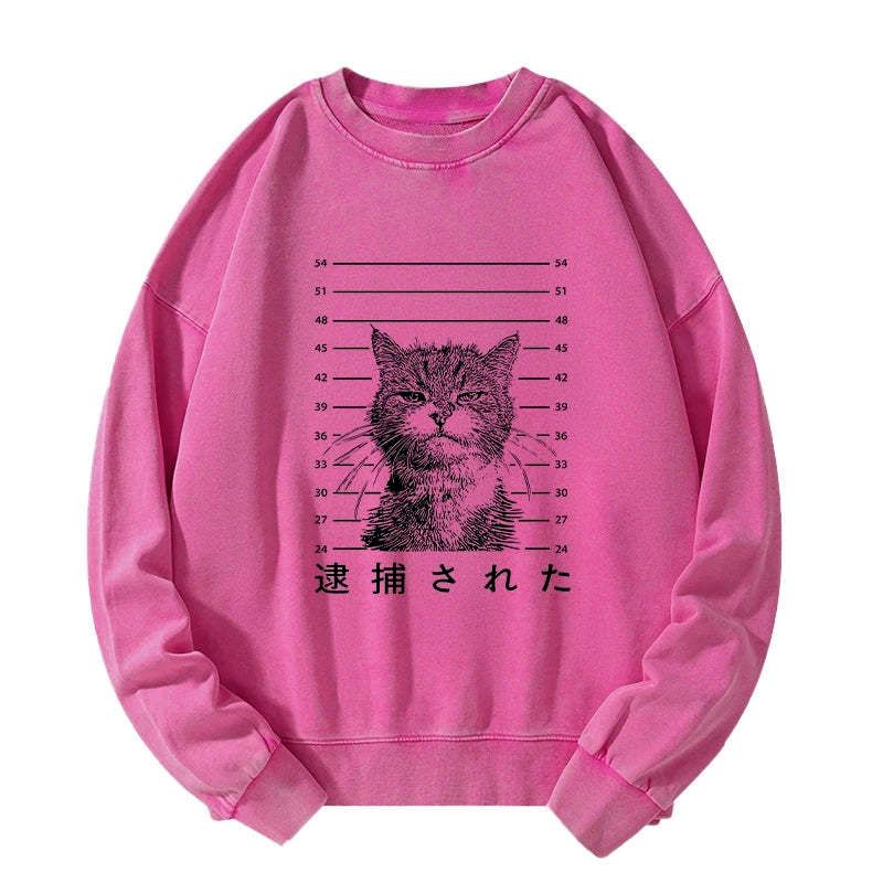 kyoto lion cat sweatshirt for streetwear