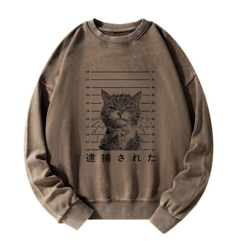 Japanese cat arrested washed sweatshirt