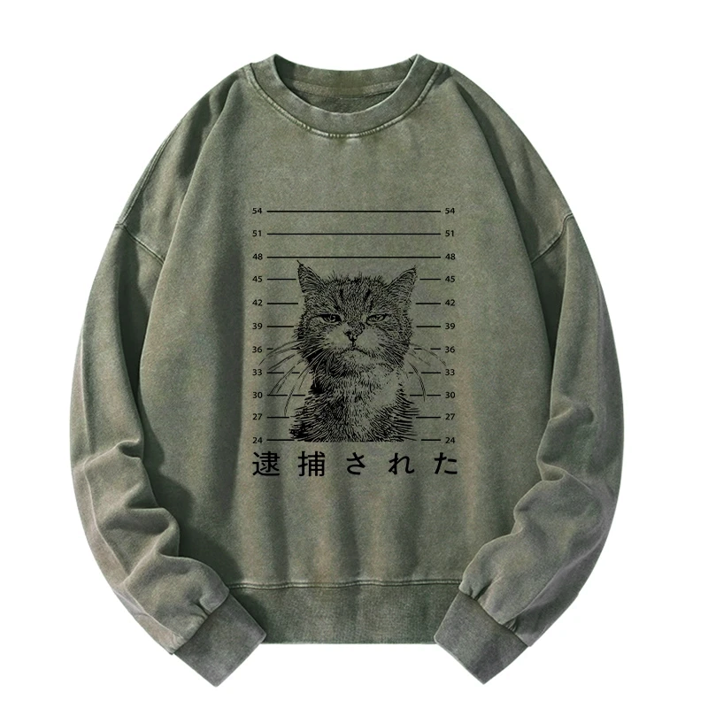 comfortable vintage cat sweatshirt for casual