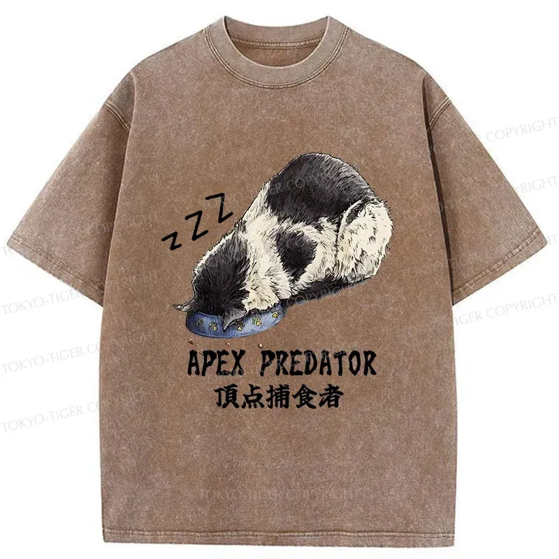 Kyoto Lion washed t-shirt best seller