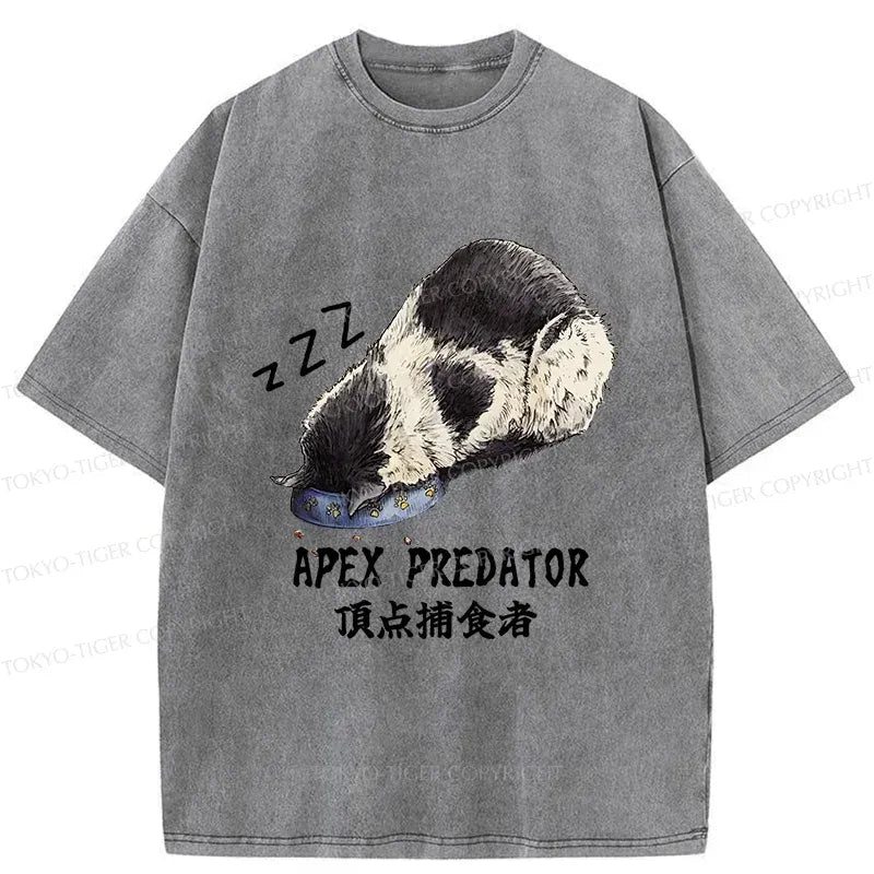 Kyoto Lion washed t-shirt best seller