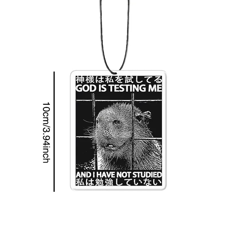 Funny Car Air Freshener for Vehicle