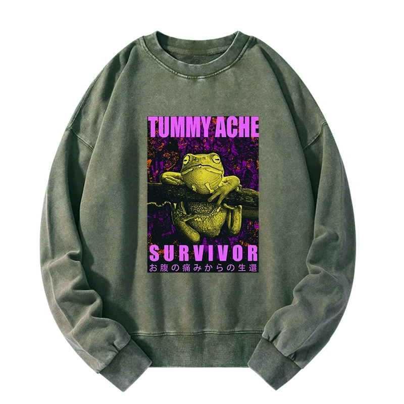 washed unisex sweatshirt for everyday wear