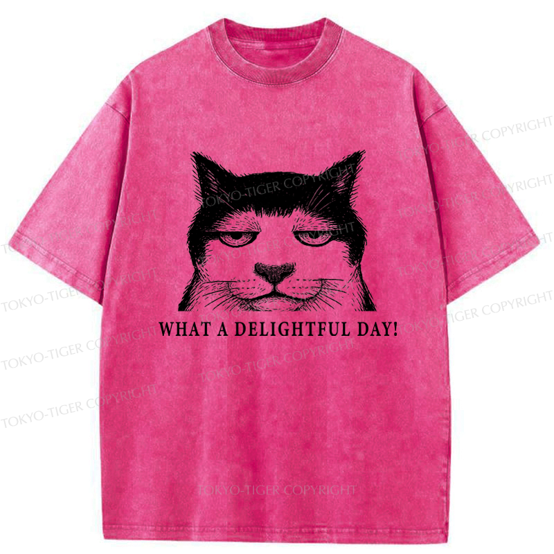 Kyoto Lion Cat T-Shirt Gift Idea