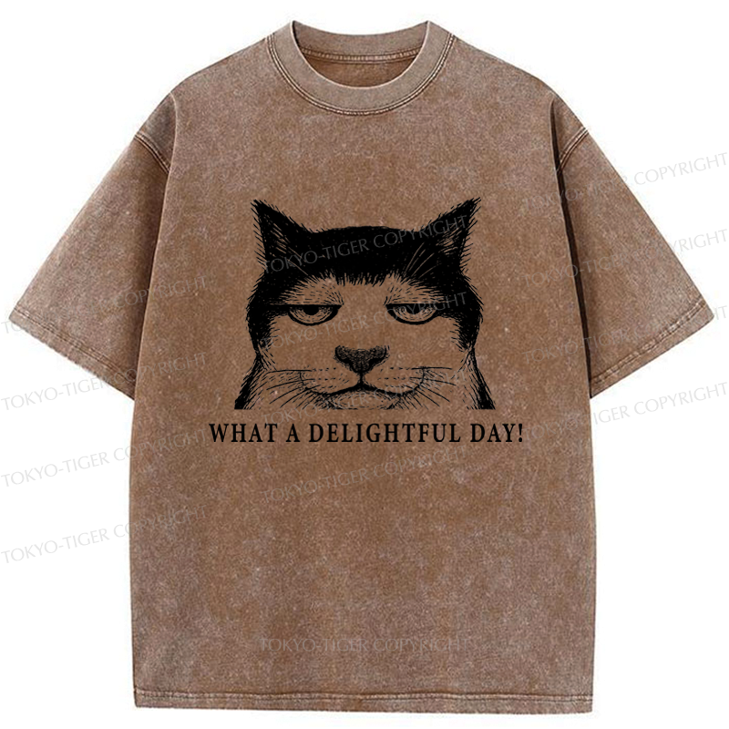 Kyoto-Lion The World-Weary Cat Washed T-Shirt