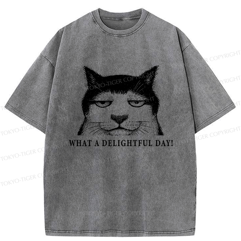 Kyoto-Lion The World-Weary Cat Washed T-Shirt