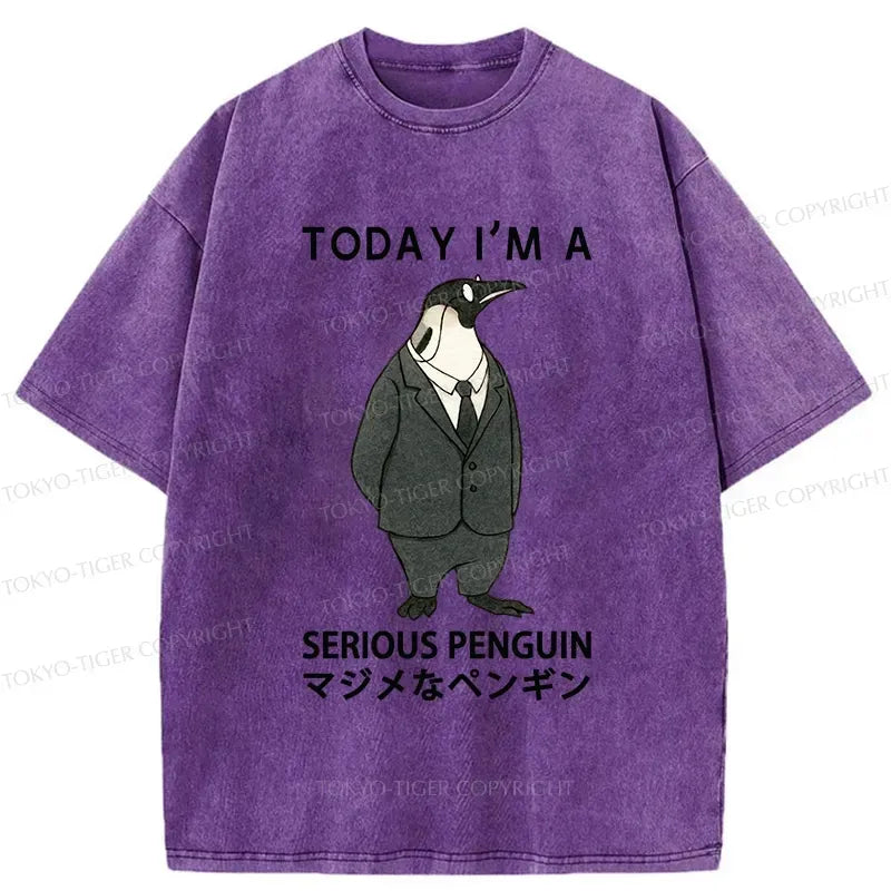 Japanese washed t-shirt for daily wear
