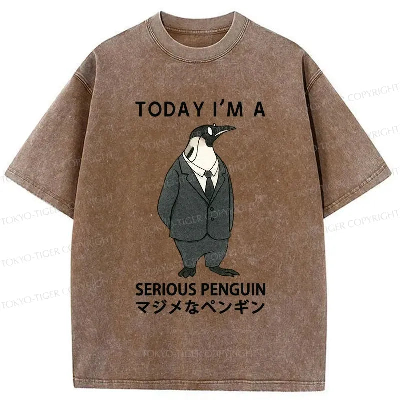 Japanese washed t-shirt for daily wear