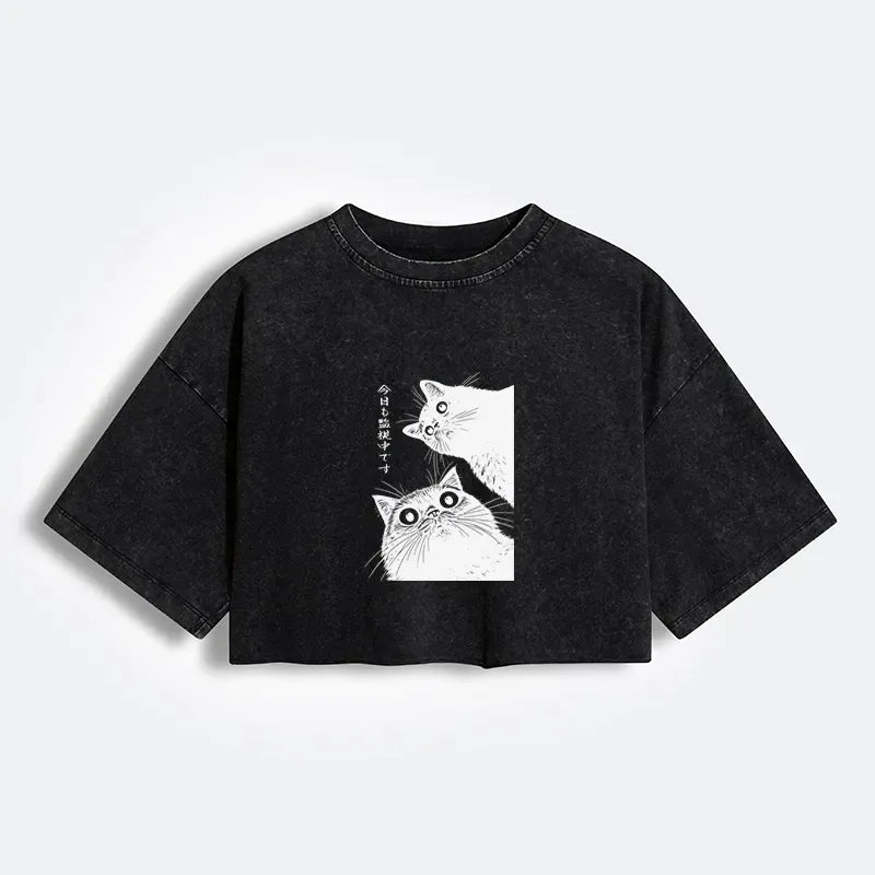 Kyoto-Lion The Cat Is Watching Today Women's Washed Crop T-Shirt
