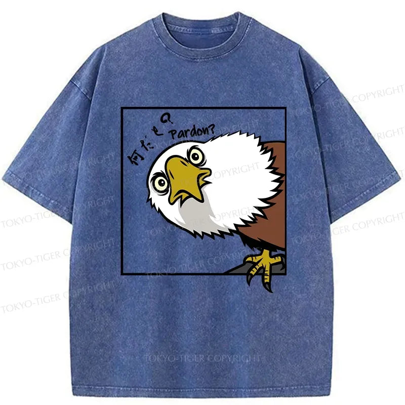 Kyoto Lion curious eagle vintage streetwear tee