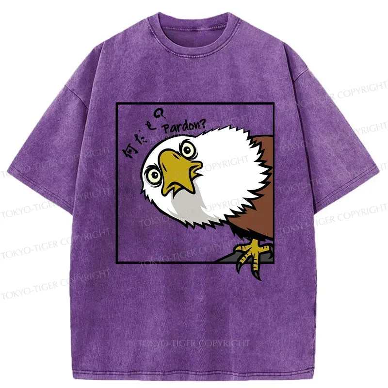 Kyoto Lion curious eagle vintage streetwear tee