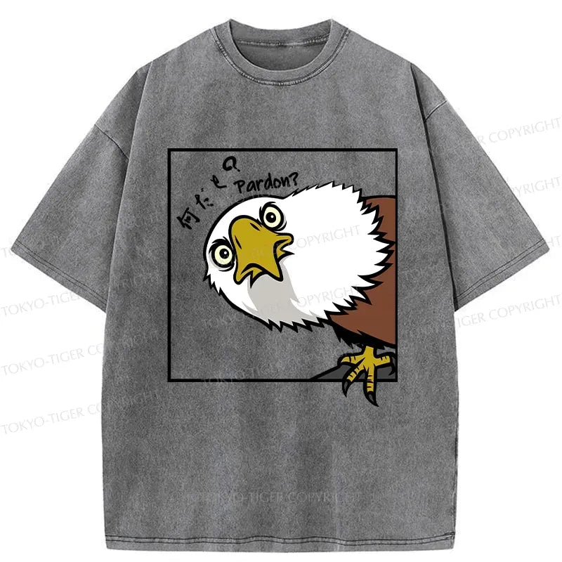 Kyoto-Lion Curious Eagle Washed T-Shirt