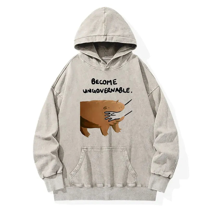 Japanese Washed Hoodie Free Shipping