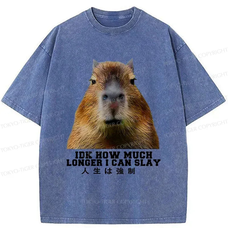 Kyoto-Lion Life Is Forced Washed T-Shirt