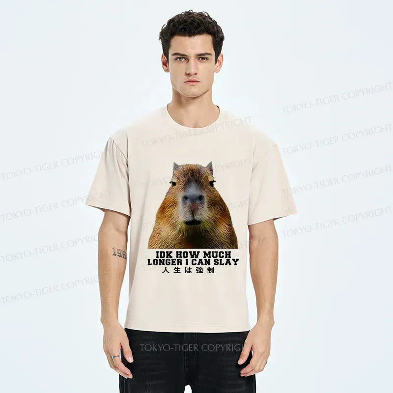 Japanese Kyoto Lion Washed T-Shirt