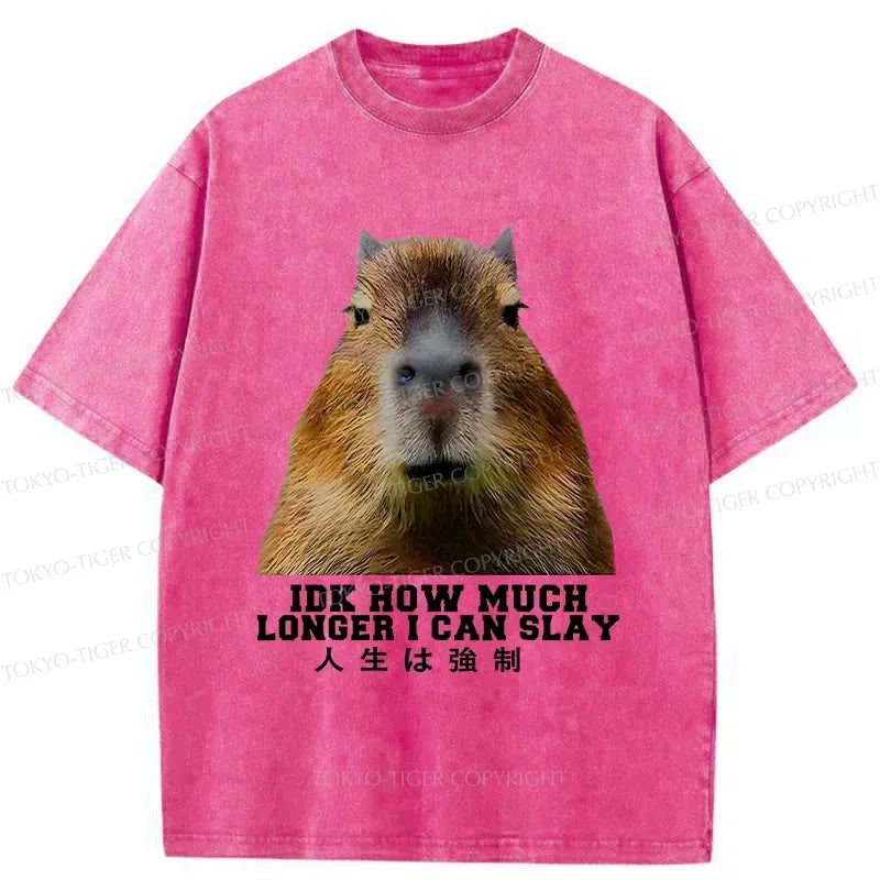 Japanese Kyoto Lion Washed T-Shirt
