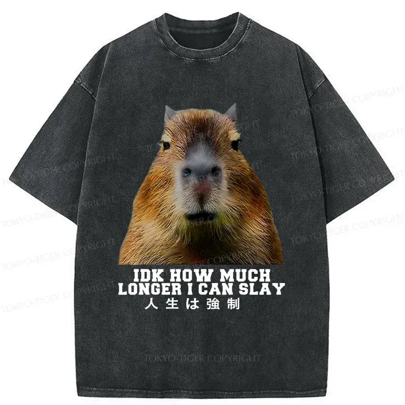 Japanese Kyoto Lion Washed T-Shirt