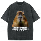 Japanese Kyoto Lion Washed T-Shirt