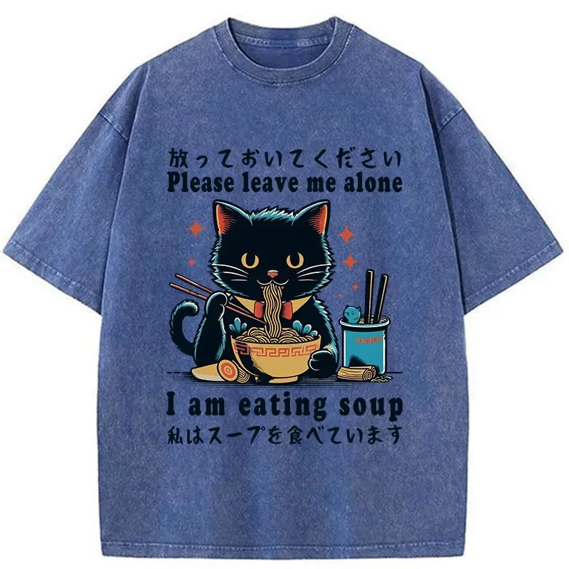 Kyoto-Lion Cat Enchanted By Ramen Washed T-Shirt