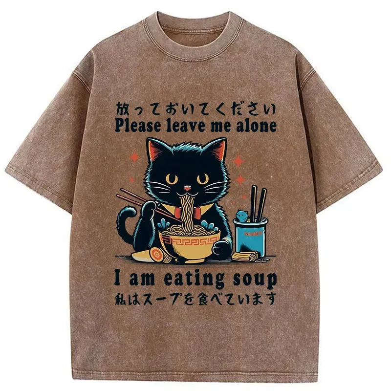 Kyoto-Lion Cat Enchanted By Ramen Washed T-Shirt