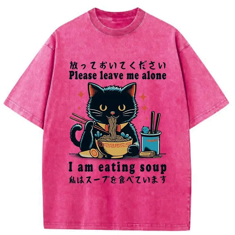 Kyoto-Lion Cat Enchanted By Ramen Washed T-Shirt