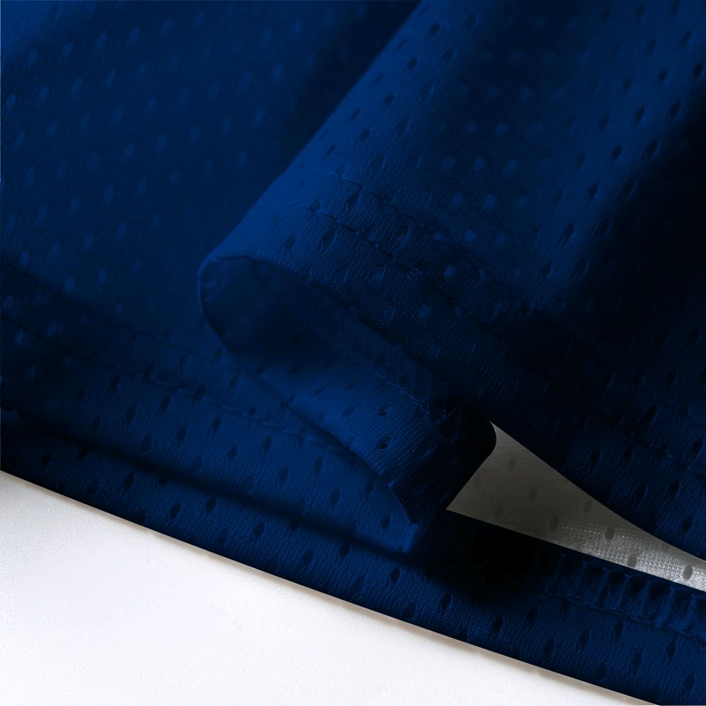 Kyoto-Lion Moonlit Evening Blue Heron Mesh Jersey