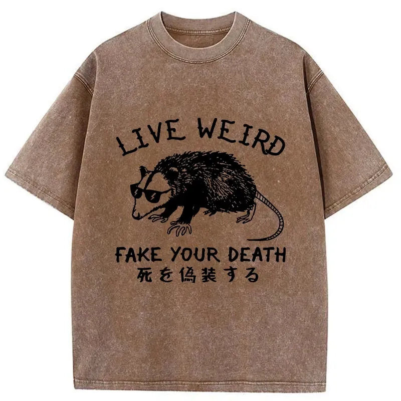 kyoto lion washed japanese t-shirt
