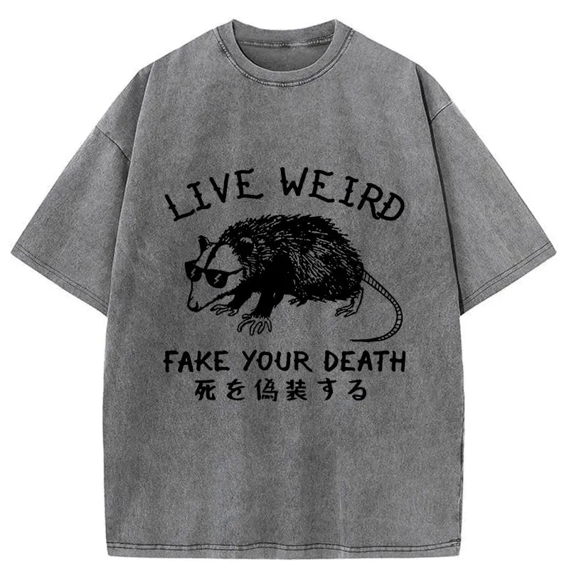 kyoto lion washed japanese t-shirt